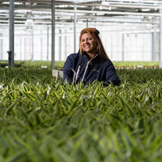 Tuinbouw Productiemedewerker
